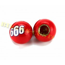 Bouchons de valves 666