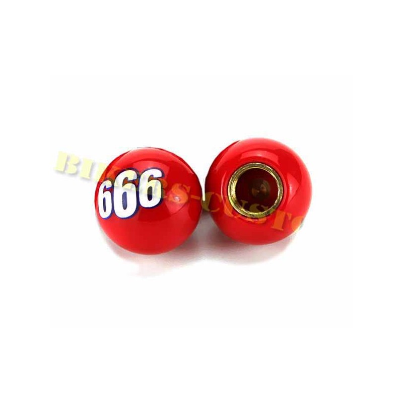 Bikers-Custom : Bouchons de valves 666