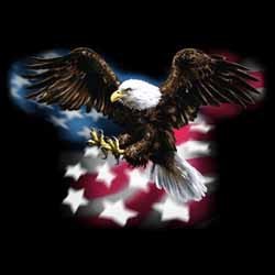 Bikers-Custom : Débardeur homme FLAG EAGLE