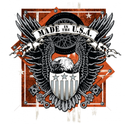 T shirt biker usa eagle