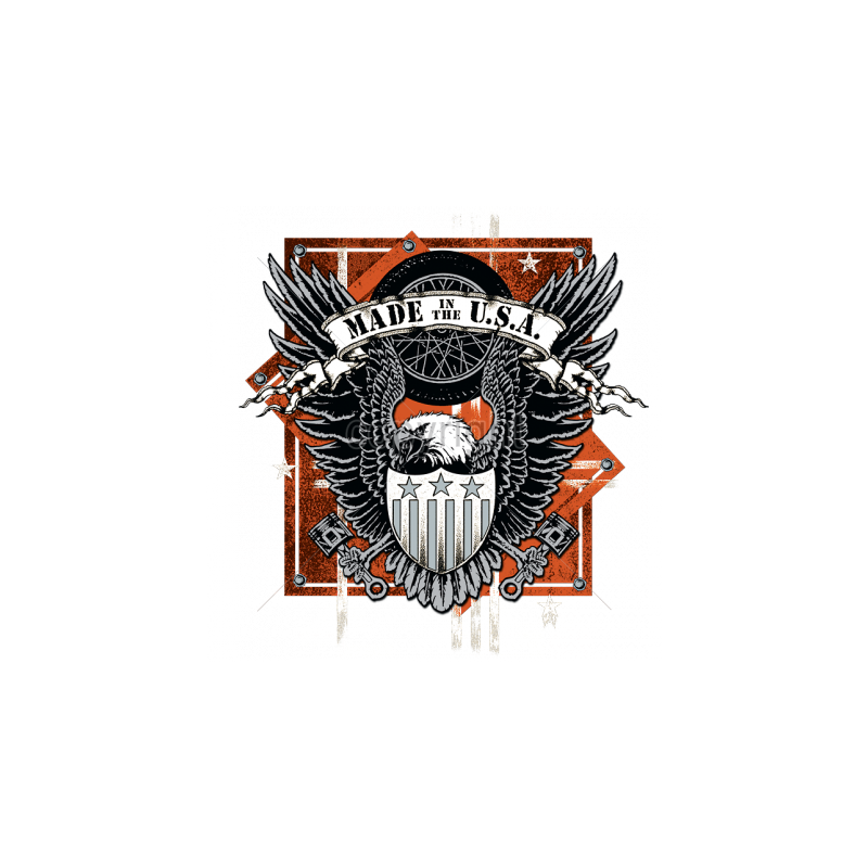 Bikers-Custom : T shirt biker usa eagle