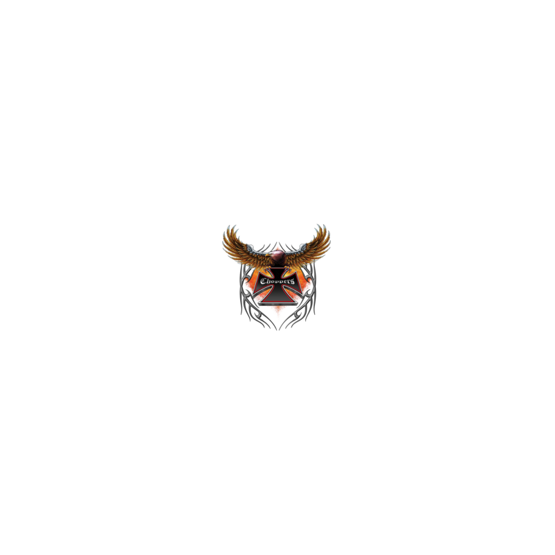 Bikers-Custom : T shirt eagle choppers