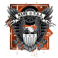 Bikers-Custom : Sweat capuche zippé USA EAGLE