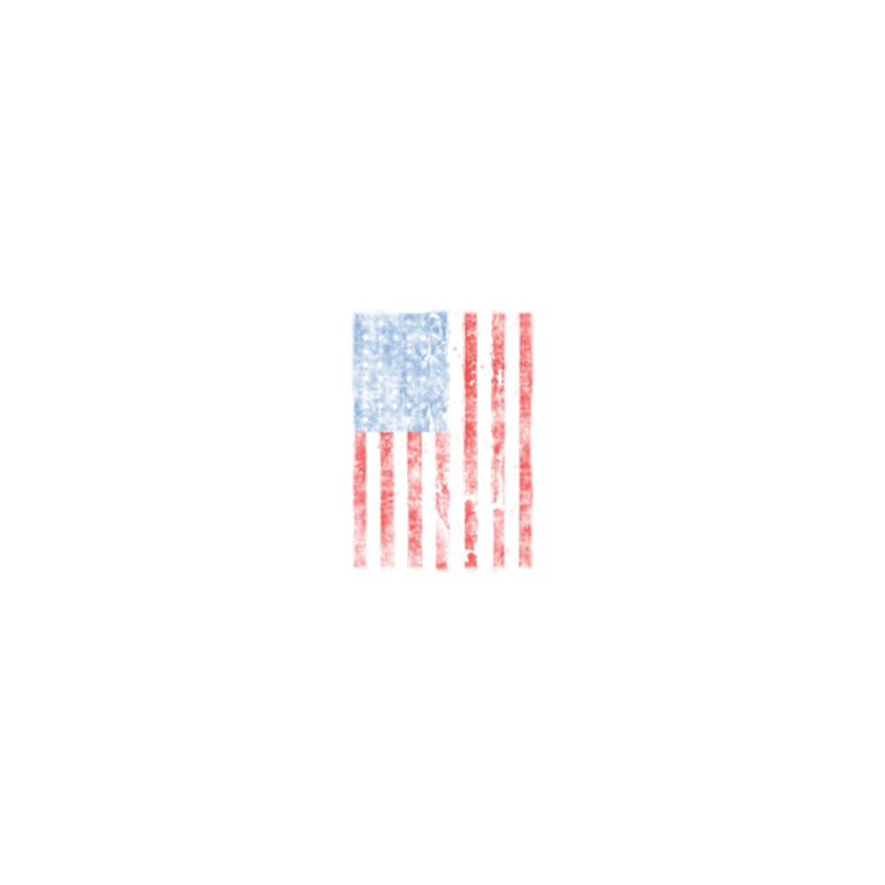 Bikers-Custom : Sweat capuche zippé USA