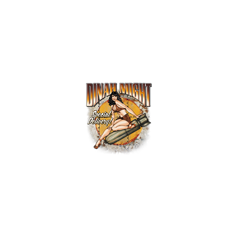 Bikers-Custom : Sweat capuche zippé DINAH MIGHT