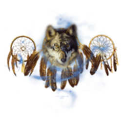 T shirt femme dreamcatcher wolf