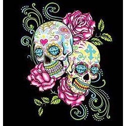 T shirt femme  two skulls