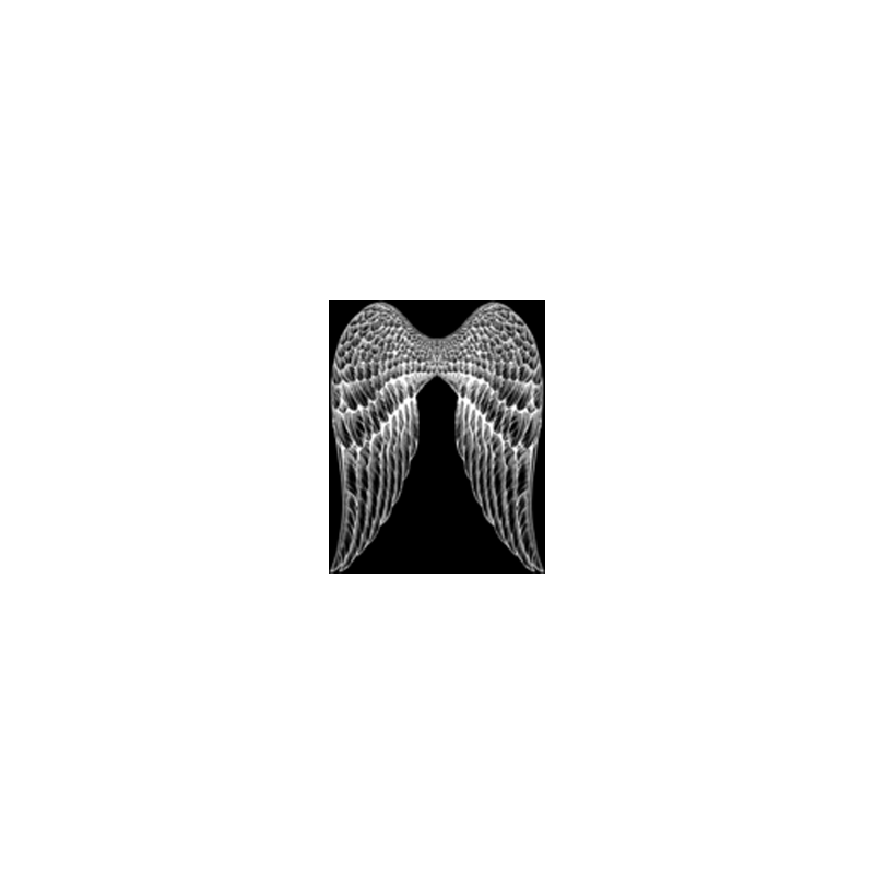 Bikers-Custom : T shirt femme angel