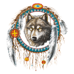Bikers-Custom : T Shirt enfant dreamcatcher wolf