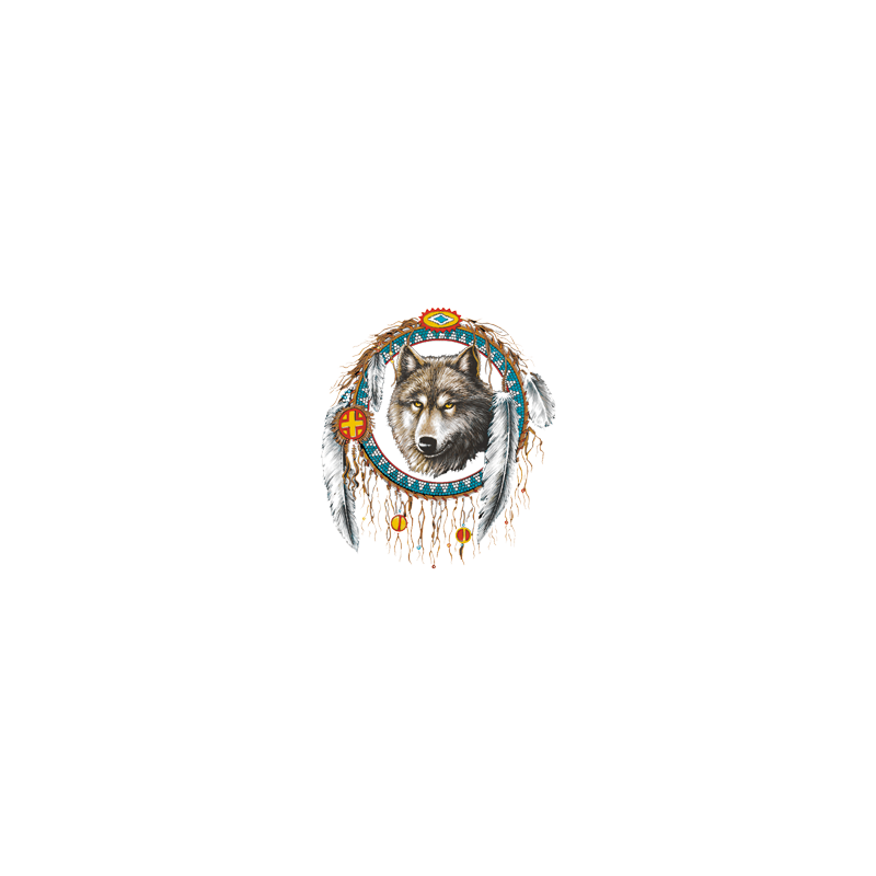Bikers-Custom : T Shirt enfant dreamcatcher wolf