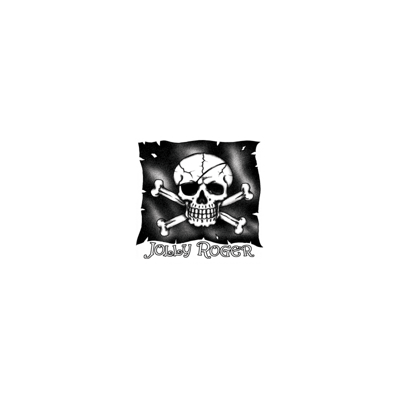 Bikers-Custom : T Shirt enfant joly roger