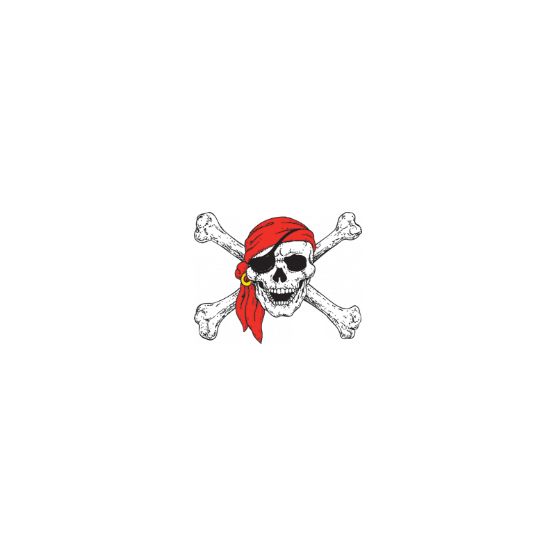 Bikers-Custom : T Shirt enfant pirate