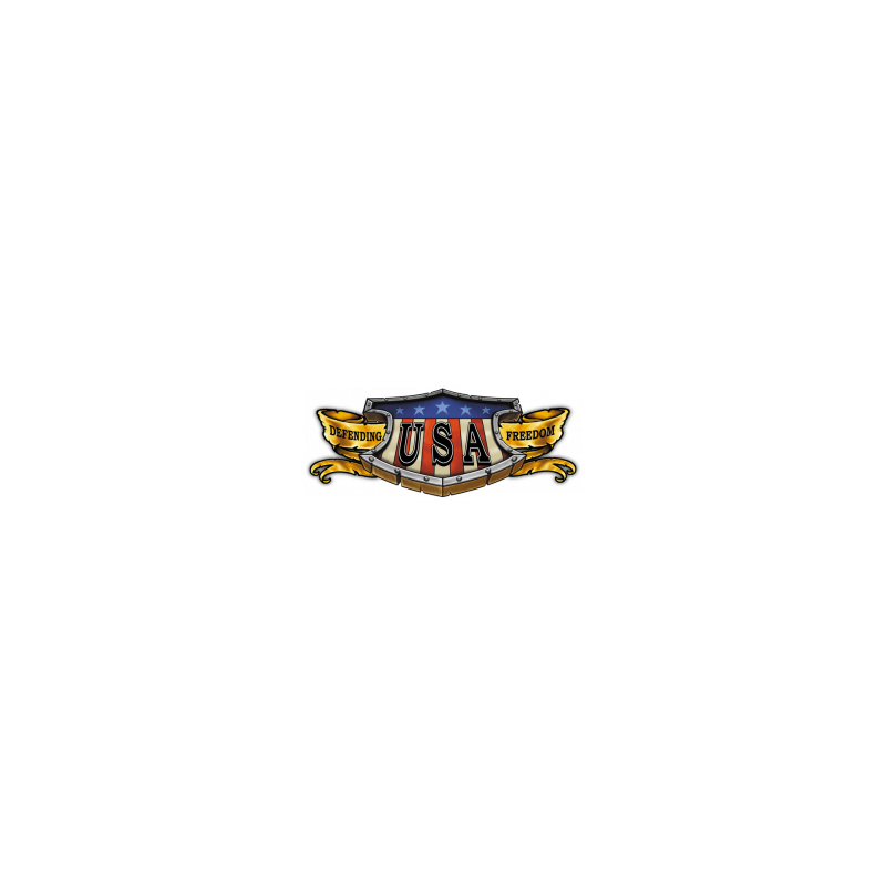 Bikers-Custom : Body bébé biker USA BANNER