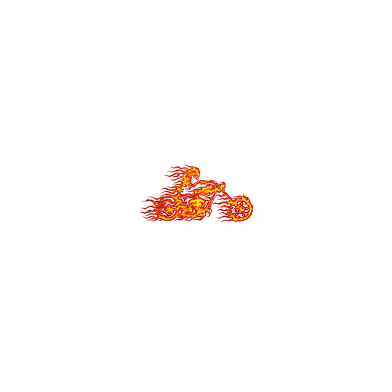 Bikers-Custom : T shirt biker the ghost rider