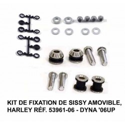 Kit de fixation pour sissy bar amovible Harley dyna 2006 up